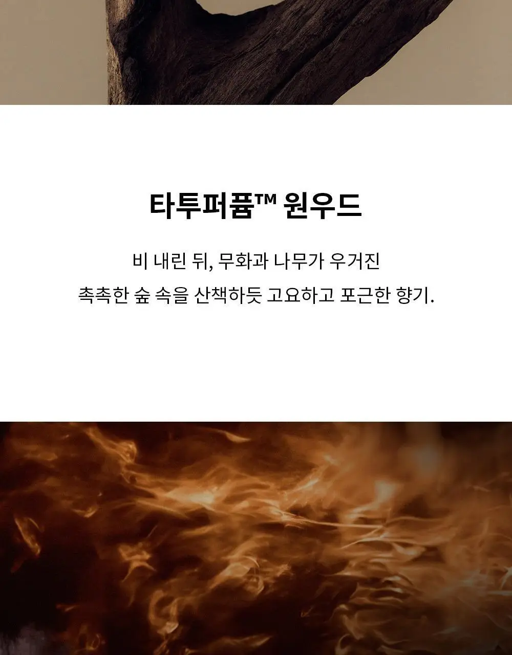 [기프트세트] 그라펜 타투 퍼퓸 원우드 29ml 선물세트(+코튼헤이즈솔리드퍼퓸 3g+기프트케이스) 상세페이지 10